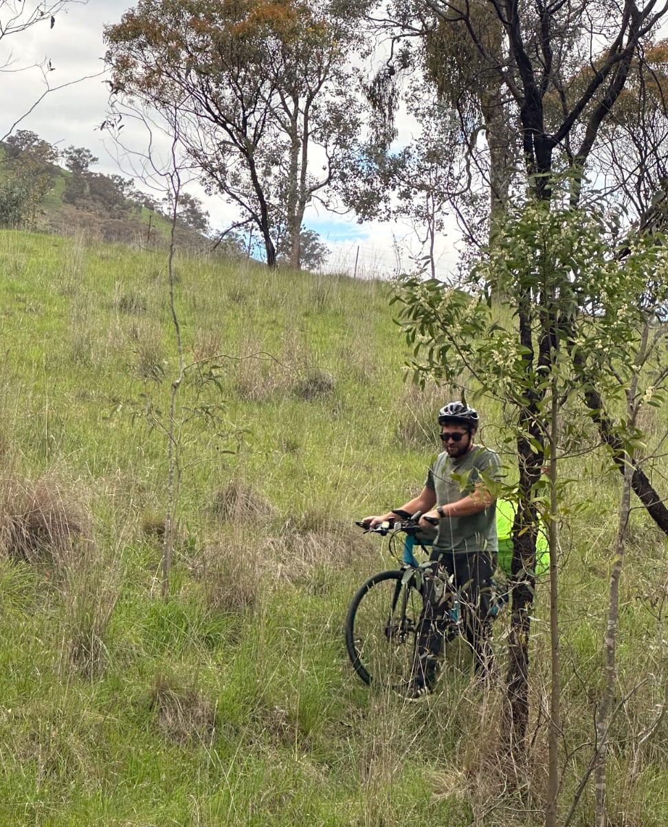 Canyon Grizl in forest